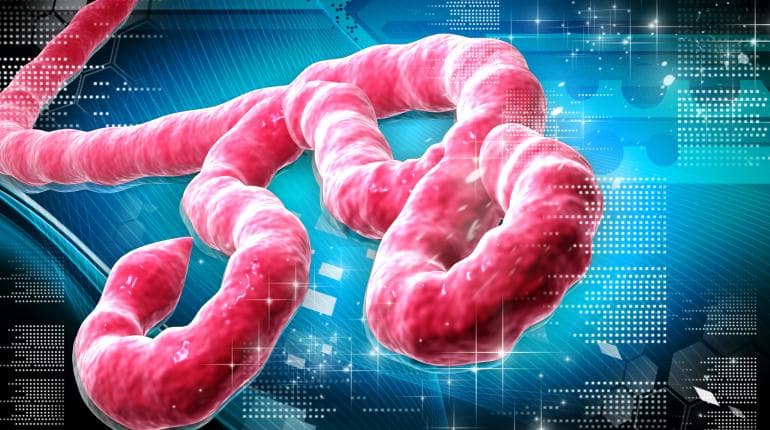 EBOLA ALERT: NIGERIA CONFIRMS CASE IN ABUJA, BEGINS CONTACT TRACING